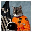 Фотография Алябушева Игоря