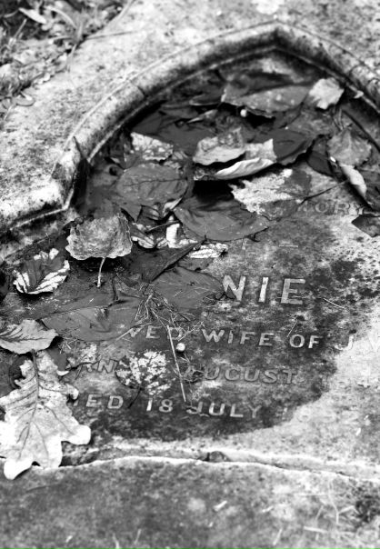 Ден Потипа фото №13