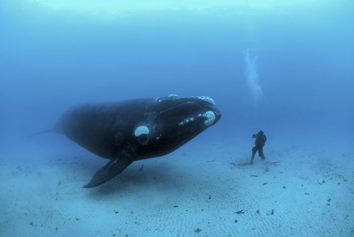 Оля Усенко фотография #46