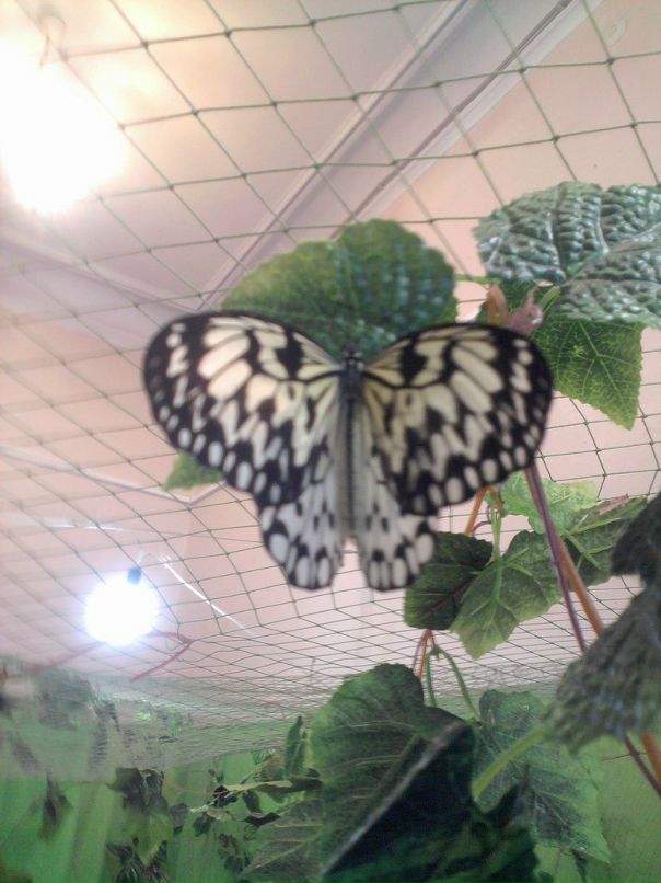 Катя Клименко фотография #36