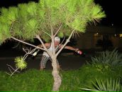 Фотография Меринова Юрия