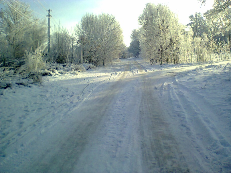 Света Онищенко фотография #41