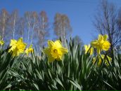 Фотография Федосеевой Татьяны