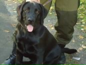 Фотография Казакова(шелгинская) Людмилы