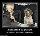 Фотография Танечка Павлович