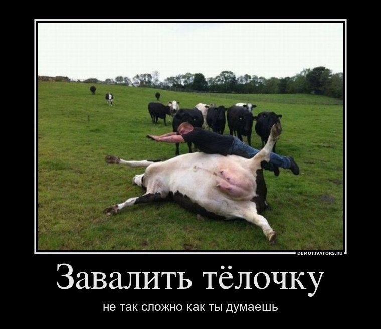 Несмотря на возраст телочке еще есть что показать