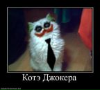 Мартошка Завідковська фотография #1