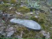 Фотография Яранцевой Яны