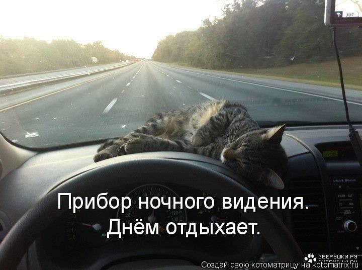 Костя Царегородцев фотография #8