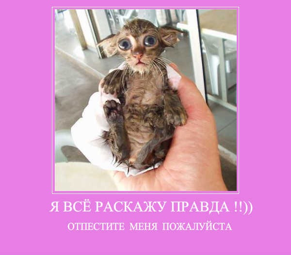 №20, Танеська Мурашкина, Североморск, Россия №20, Танеська Мурашкина, Североморск, Россия