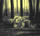 Flutter Shy фотография #15 (источник - https://vk.com/id161207668)