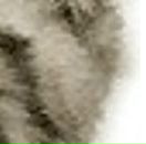 Діма Скринник фотография #9 (источник - https://vk.com/id21423407)