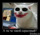 Фотография Фефилова Кирилла