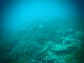 Евгений Мурышкин фотография #35 (источник - https://vk.com/id107583)