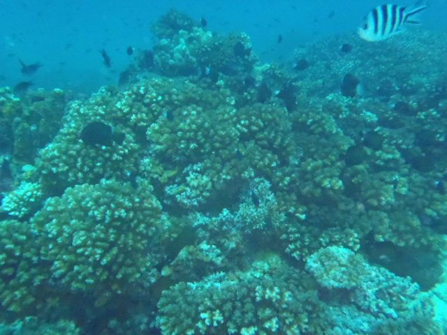 Евгений Мурышкин фото №45