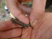 Фотография Попова Романа