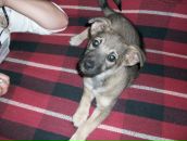 Фотография Михайловой Насти