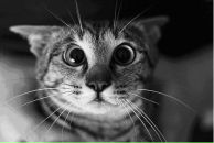 Фотография Дрониной Ксении