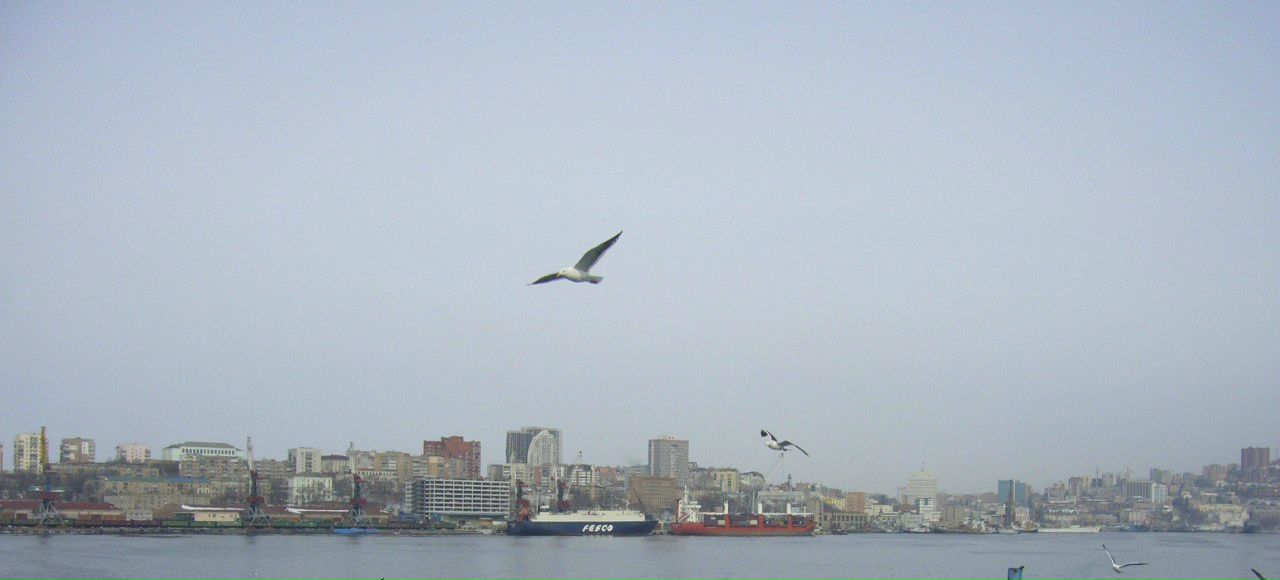 Елена Бондарь фотография #39