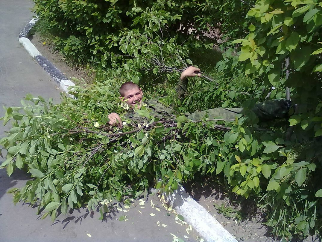 Дмитрий Калгин фотография #40