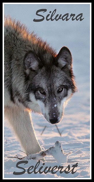 Killer Wolf фотография #1