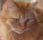 Фотография Хусаиновой Алсу