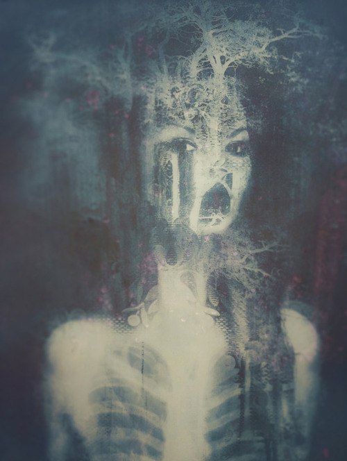 Raito Aoki фотография #2