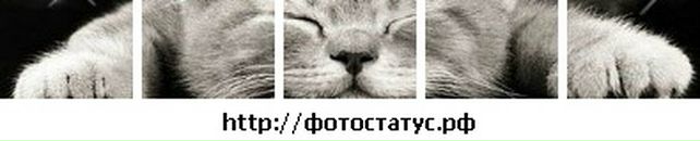 Альона Коломiєць фотография #16 (источник - https://vk.com/id17204222)