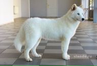 Аліна Пилипів фотография #42 (источник - https://vk.com/id57500821)