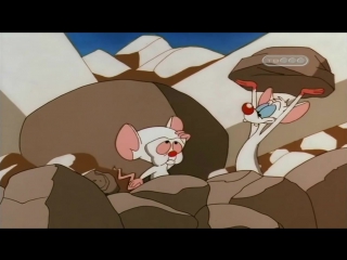 Пинки и Брейн (2 Сезон 7 Серия)