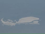 Фотография Макаренко Ульяны