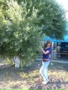 Фотография Оралиной Алёны