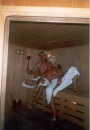 сергей ш...а фотография #11 (источник - https://vk.com/id57022290)