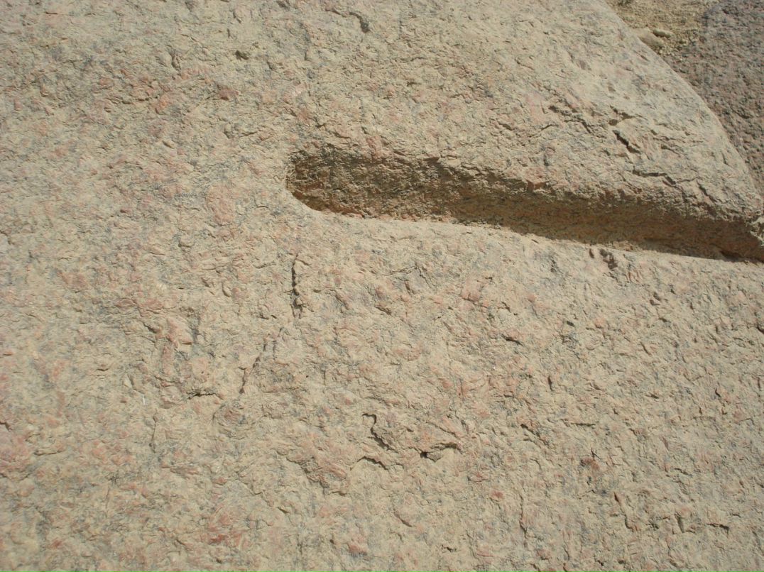 Дмитрий Лаёв фотография #23