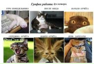 Фотография Максимчук Елены