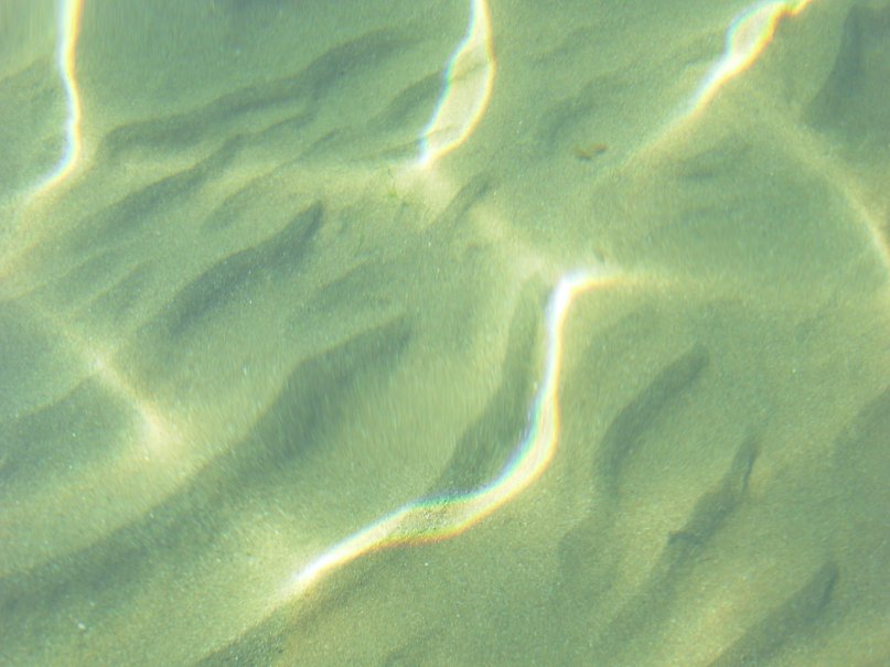 Денис Ларин фотография #43