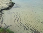 Антон Скачков фотография #27 (источник - https://vk.com/id29741705)