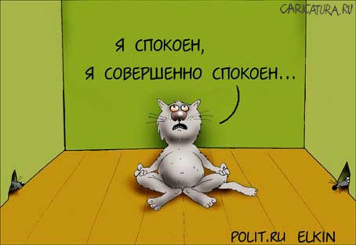 №14, Наталья Артемчук, Зеленоградск №14, Наталья Артемчук, Зеленоградск