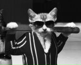 Фотография Орлова Владимира