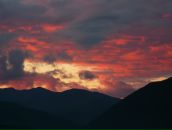 Дмитрий Тарасенко фотография #16 (источник - https://vk.com/id276015)