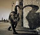 Фотография Марковой Екатерины