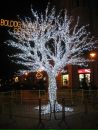 Вадим Кисіль фотография #4 (источник - https://vk.com/id13181050)