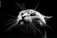 Фотография Самсоновой Елены