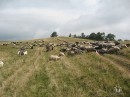 Міша Юріна фотография #37 (источник - https://vk.com/id70576909)