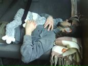 Фотография Викки Евгения