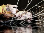 Фотография Гоел Лины