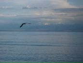 Фотография Ельцова Виталия