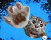 Фотография Есениной Татьяны