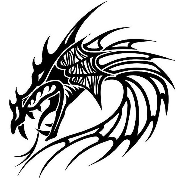 №19, Женя Строганов №19, Женя Строганов