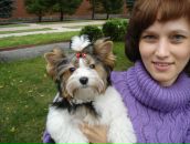 Фотография  